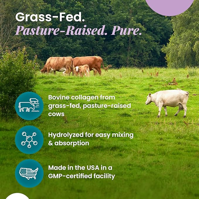 Organic Excellence Collagen Peptides, Grass-Fed Bovine Unflavored Collagen Powder Type I & III Hydrolyzed Collagen, Support Skin, Joints, Gut, Hair, Nails, Non-GMO, 12g Protein/Serving, 16 oz (453g)