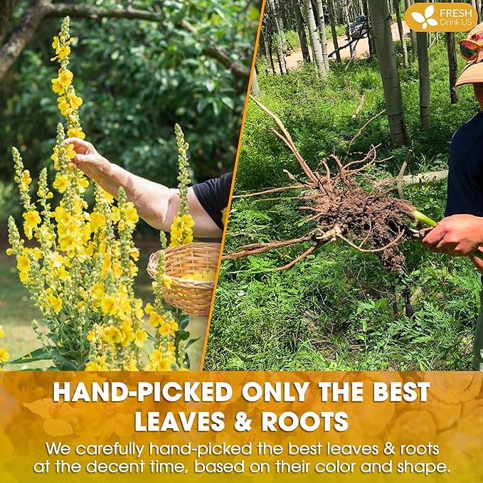 FreshDrinkUS, Premium 55 Mullein Licorice Tea Bags, 100% Natural, Blend of Mullein Leaves, and Licorice Root. Made with Natural Material Tea Bags. No Sugar, Vegan.